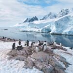 The Deepest Places on Earth: What Lurks in the Ocean’s Darkest Depths